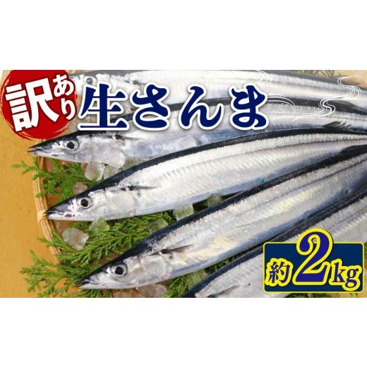 ふるさと納税 魚貝類 さんま 岩手県 大船渡市 2026年 先行予約 訳あり 生さんま 約2kg 鮮魚 魚 さんま サンマ 旬 季節 秋 期間限定 季節限定 数量限定 三陸 …