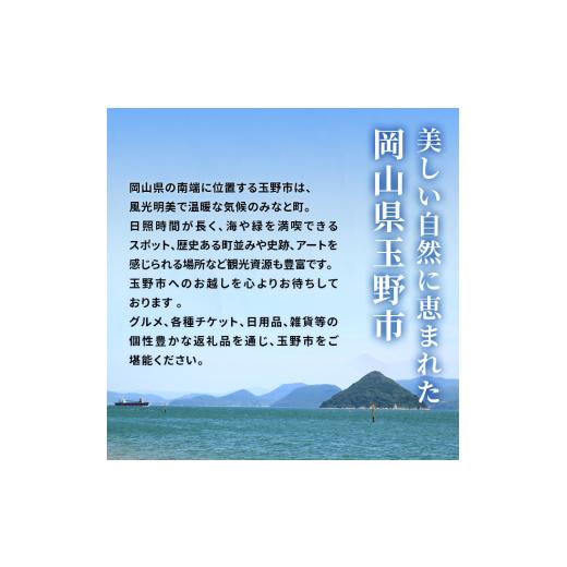 ふるさと納税 アロマ・入浴剤 岡山県 玉野市  隔月 定期便 3回 エプソムソルト シークリスタルス 入浴剤 10kg バスソルトの画像