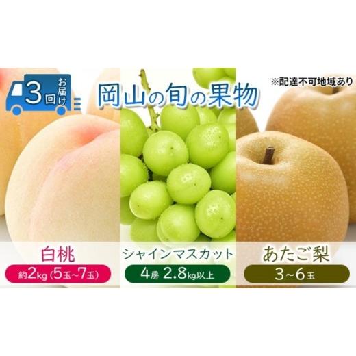 ふるさと納税 もも 岡山県 玉野市 フルーツ 定期便 2026年 先行予約 桃 ぶどう 梨 3回お届け 白桃 約2kg入り（5玉〜7玉） シャインマスカット 4房2.8kg以上 あ…_1