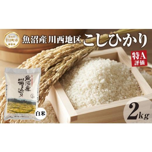 ふるさと納税 米 コシヒカリ 新潟県 十日町市 令和8年産 先行予約 魚沼産 川西 こしひかり 2kg 精米 米 コメ お米 ごはん ご飯 白米 おにぎり 炊き立て ブラ…