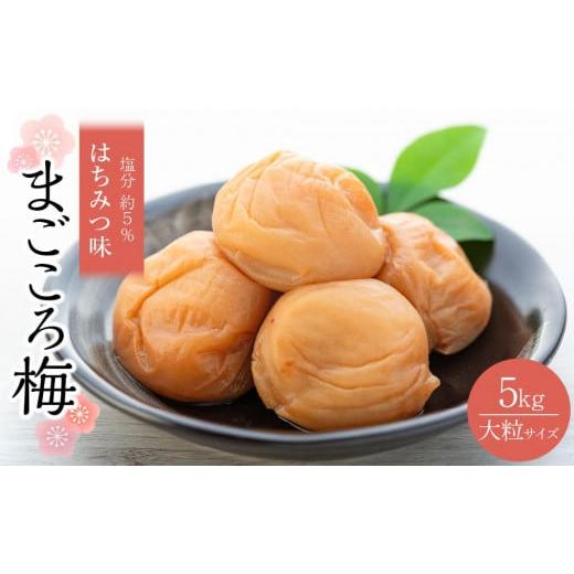 ふるさと納税 加工品等 梅干 和歌山県 白浜町 極上 紀州南高梅 まごころ梅 はちみつ 梅干し 3L サイズ以上 合計 5kg ( 1kg × 5 ) 塩分 約5％ 化粧箱入り_1