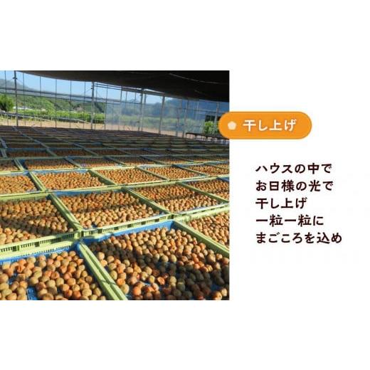 ふるさと納税 加工品等 梅干 和歌山県 白浜町 極上 紀州南高梅 まごころ梅 はちみつ 梅干し 3L サイズ以上 合計 5kg ( 1kg × 5 ) 塩分 約5％ 化粧箱入り_6