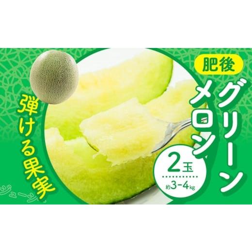 ふるさと納税 メロン メロン青肉 熊本県 菊池市 先行予約 メロン 肥後グリーンメロン 2玉 約 3kg 〜 4kg 株式会社Foody's 食彩たかみ [2026年5月下旬-7月下…