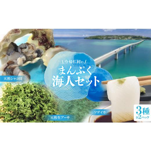 ふるさと納税 魚貝類 沖縄県 今帰仁村 まんぷく海人セット(天然シャコ貝、天然生アーサ、ソデイカ)×各種2パック 1483970