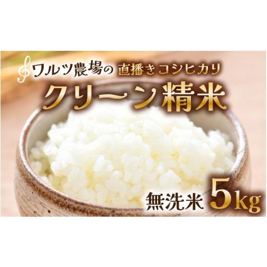ふるさと納税 米 コシヒカリ 福井県 あわら市 先行予約 令和8年産 新米 ワルツ農場の直播き コシヒカリ クリーン精米(無洗米) 5kg / お米 ご飯 白米 発送…
