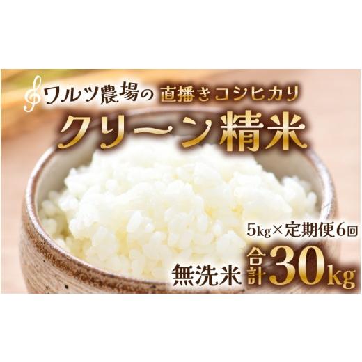 ふるさと納税 米 コシヒカリ 福井県 あわら市 先行予約 令和8年産 新米 [定期便6回]ワルツ農場の直播き コシヒカリ クリーン精米(無洗米) 5kg(計30kg) …