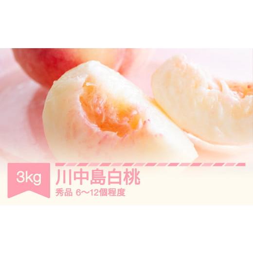 ふるさと納税 もも 山形県 村山市 先行予約 桃 川中島 秀品 約3kg (6〜12個程度) 山形県産 令和8年産 2026年産 フルーツ 果物 くだもの もも モモ sb-moknx3