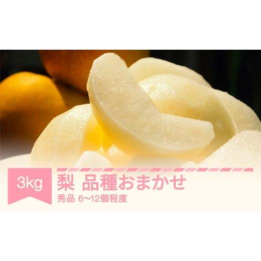 ふるさと納税 梨 山形県 村山市 先行予約 梨 品種おまかせ 秀品 約3kg (6〜12個程度) 山形県産 令和8年産 2026年産 フルーツ 果物 sb-nahkx3