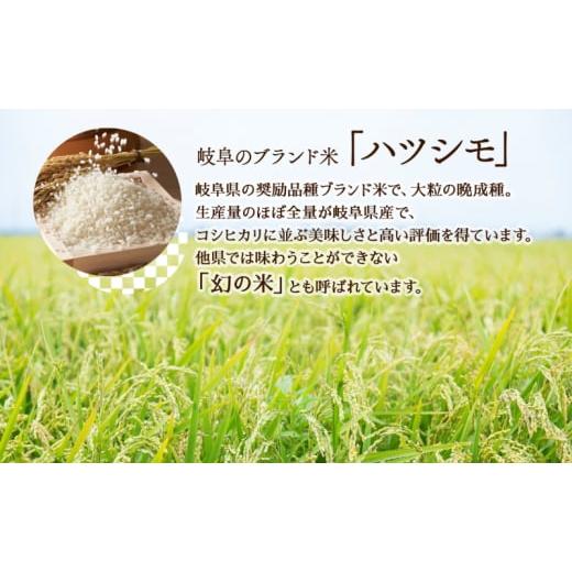 ふるさと納税 米 岐阜県 安八町 No.5331-0406 R6年産 特選米