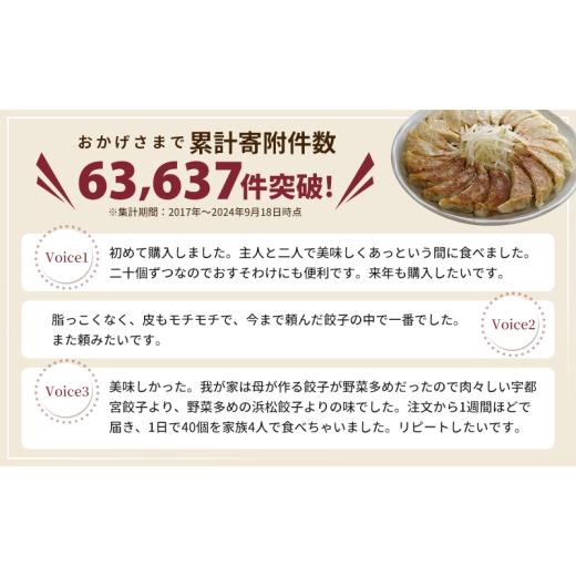 ふるさと納税 惣菜・レトルト 冷凍 静岡県 浜松市  定期便3回 浜松餃子 60個 (20個×3袋) セット 詰め合わせ 餃子のタレ 小袋 知久屋 国産 ぎょうざ 餃子 ギョ…_2