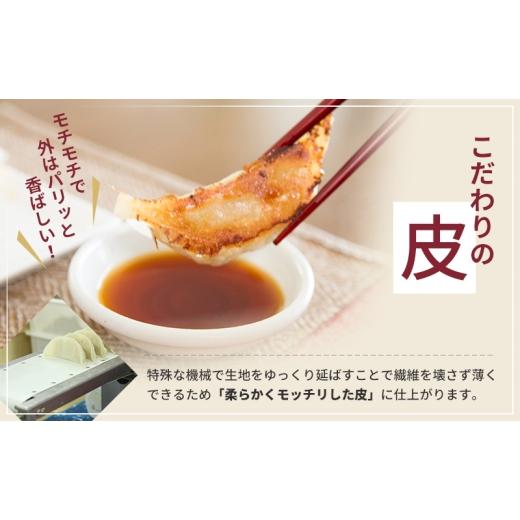 ふるさと納税 惣菜・レトルト 冷凍 静岡県 浜松市  定期便3回 浜松餃子 60個 (20個×3袋) セット 詰め合わせ 餃子のタレ 小袋 知久屋 国産 ぎょうざ 餃子 ギョ…_6