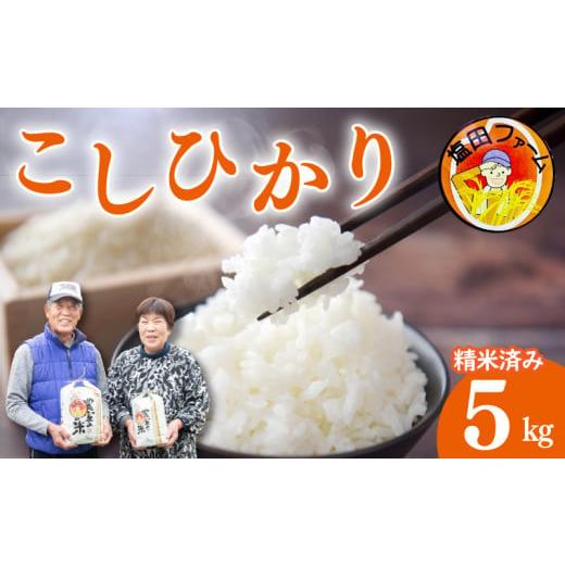 ふるさと納税 米 コシヒカリ 徳島県 阿波市 コシヒカリ 5kg 令和7年産 米 こめ ご飯 ごはん おにぎり 白米 精米 卵かけご飯 食品 備蓄 備蓄米 保存 防災 ギフ…