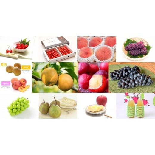 ふるさと納税 果物類 さくらんぼ 山形県 中山町 通年定期便12回 果物フルコース定期便