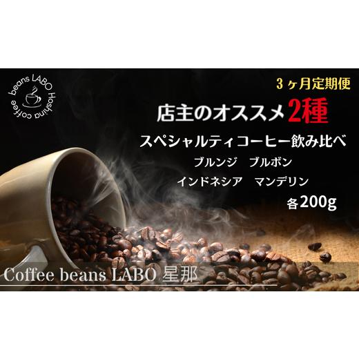 ふるさと納税 コーヒー コーヒー豆 岐阜県 大垣市 定期便3ヶ月 店主オススメ スペシャルティコーヒー豆 2種飲み比べ(各200g) 粉 粉