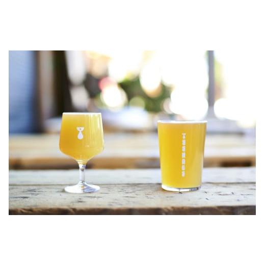 ふるさと納税 ビール 地ビール 埼玉県 ときがわ町 クラフトビールおまかせ６本セット（年２回便） D008の画像