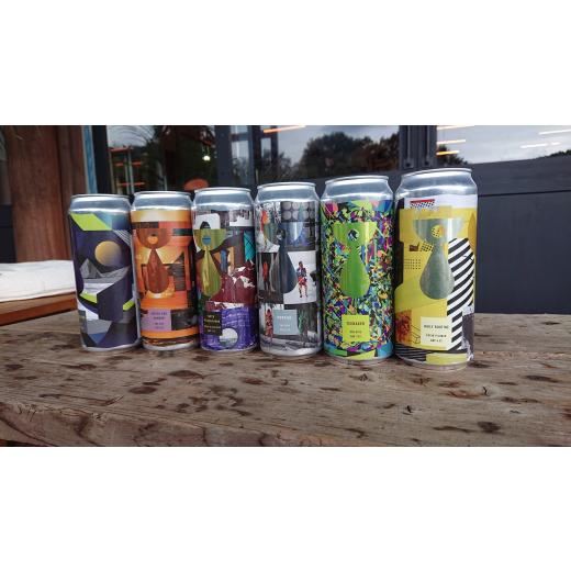 ふるさと納税 ビール 地ビール 埼玉県 ときがわ町 クラフトビールおまかせ６本セット（年２回便） D008の画像