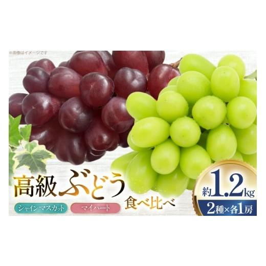 ふるさと納税 ぶどう マスカット 山形県 高畠町 期間限定発送 ぶどう 食べ比べ 高級ぶどう シャインマスカット マイハート 各1房 約1.2kg 詰め合わせ セット …
