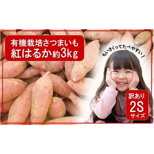 ふるさと納税 野菜類 サツマイモ 大分県 国東市 先行予約 訳あり 小さいサイズのさつまいも紅はるか約3kg(有機栽培 岬ちゃん 2Sサイズ 50g〜100g前後/個)_…