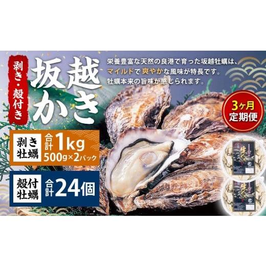 ふるさと納税 牡蠣 生牡蠣 兵庫県 赤穂市 3回定期便 坂越かき 剥き身 約500g×2パック 殻付き 24個 カキ 牡蠣 かき 海の幸 魚介 貝 2026年2月上旬〜4月下旬発…