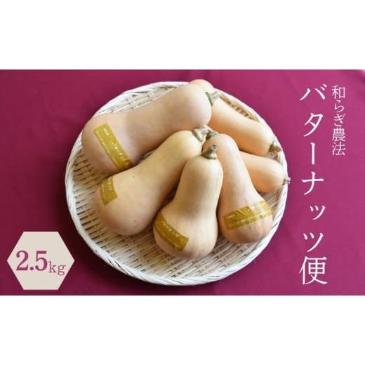 ふるさと納税 野菜類 滋賀県 栗東市 2026年9月下旬頃より順次発送 和らぎ農法 バターナッツ便(約2.5kg)(栽培期間中、農薬・化学肥料・動物性堆肥不使用)…