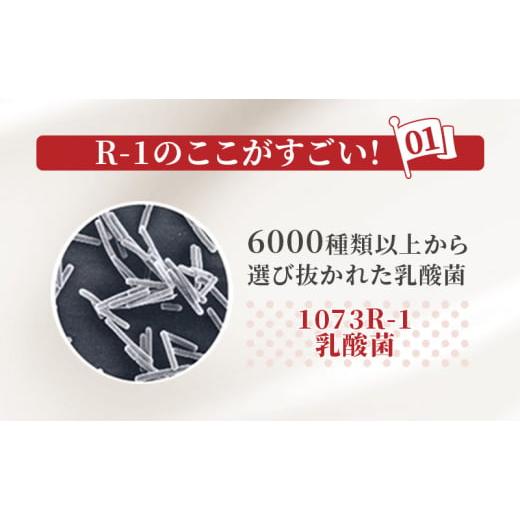 ふるさと納税 飲料類 乳飲料 京都府 京田辺市  定期便6ヶ月 明治 R1 プロビオヨーグルト ドリンクタイプ 低糖 低カロリー 12本入りの画像