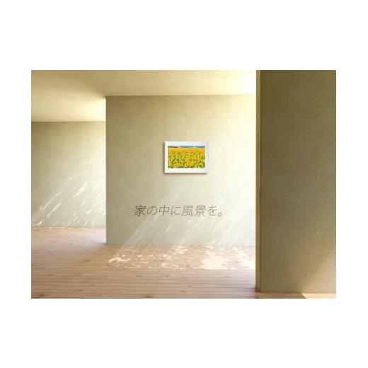 雑貨・日用品 絵画 埼玉県 白岡市 版画 絵画 ひまわり畑 【カンポ】 アートフォト　M 11246-0301