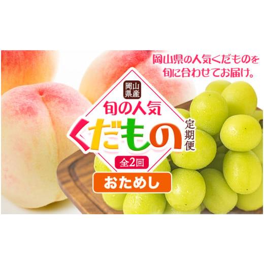 ふるさと納税 もも 岡山県 矢掛町 2026年発送先行予約 岡山県産 旬の 人気 くだもの おためし 定期便 全2回 桃 合計1kg(3〜5玉前後) シャインマスカット 約…