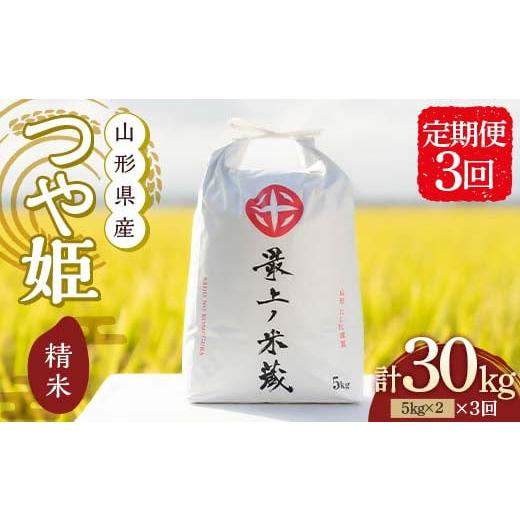 ふるさと納税 米 つや姫 山形県 新庄市 定期便 3回 令和7年産 つや姫 5kg×2 計10kg 精米 最上ノ米蔵 山形県産 こめ お米 米 白米