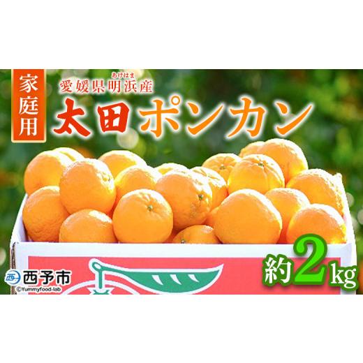 ふるさと納税 みかん・柑橘類 愛媛県 西予市 先行予約 太田ポンカン 家庭用 約2kg 果物 くだもの フルーツ みかん ミカン 柑橘 太田ぽんかん おおたぽんかん …