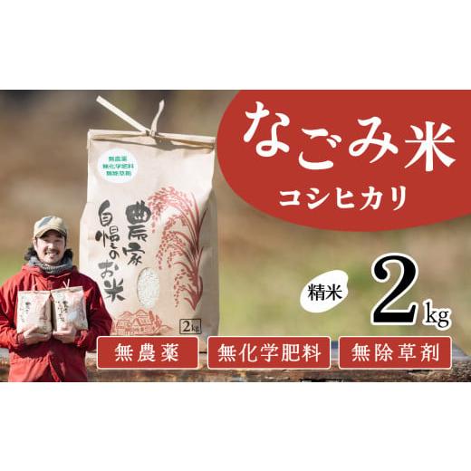 ふるさと納税 米 コシヒカリ 茨城県 下妻市 1月発送 茨城県下妻市産 なごみ米( コシヒカリ ) 精米 2kg お米 コシヒカリ 米 無農薬 無化学肥料 無除草剤 …