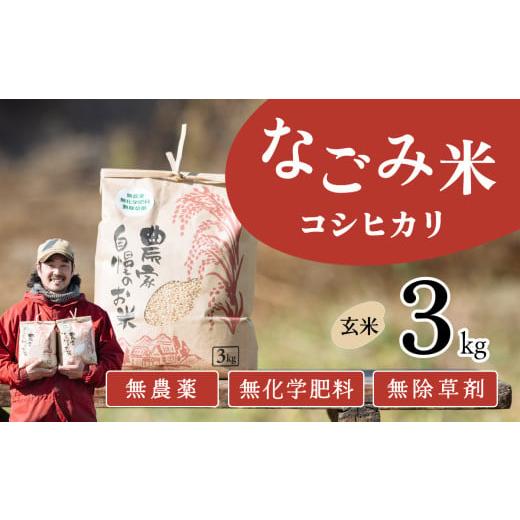 ふるさと納税 玄米 茨城県 下妻市 1月発送 茨城県下妻市産 なごみ米( コシヒカリ ) 玄米 3kg お米 コシヒカリ 米 無農薬 無化学肥料 無除草剤 玄米 自然 …