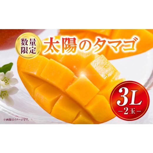 ふるさと納税 マンゴー 宮崎県 宮崎市 [2026年発送先行予約] 数量・期間限定 太陽のタマゴ 3Lサイズ 2玉_M354-001-02 3Lサイズ 2玉