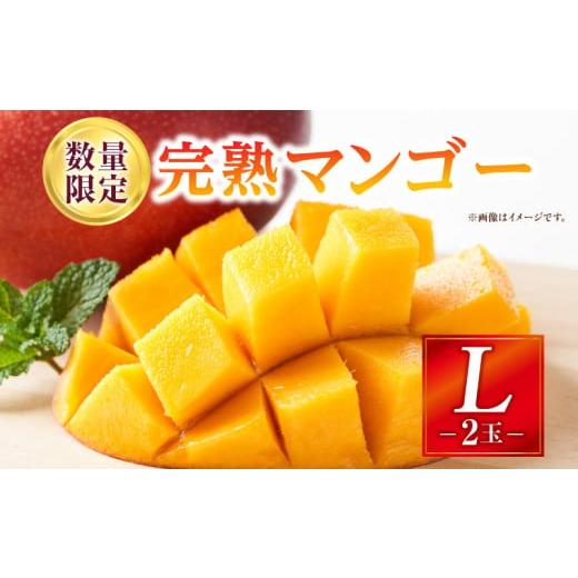 ふるさと納税 マンゴー 宮崎県 宮崎市 [2026年発送先行予約] 数量・期間限定 完熟マンゴー Lサイズ 2玉_M354-002-01 Lサイズ 2玉