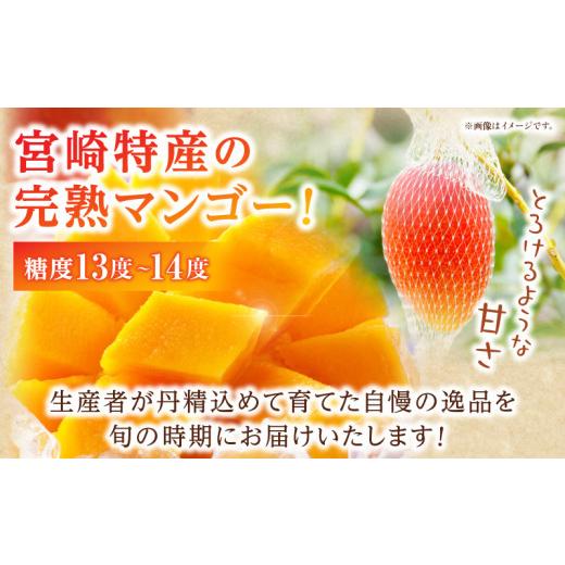 ふるさと納税 マンゴー 宮崎県 宮崎市 《2026年発送》 数量・期間限定 完熟マンゴー Lサイズ 2玉_M354-002-01 15,000円 Lサイズ×2玉_2