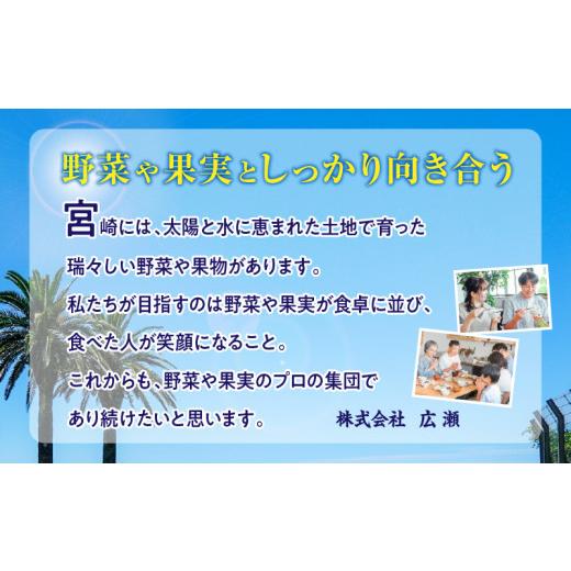 ふるさと納税 マンゴー 宮崎県 宮崎市 《2026年発送》 数量・期間限定 完熟マンゴー Lサイズ 2玉_M354-002-01 15,000円 Lサイズ×2玉_4