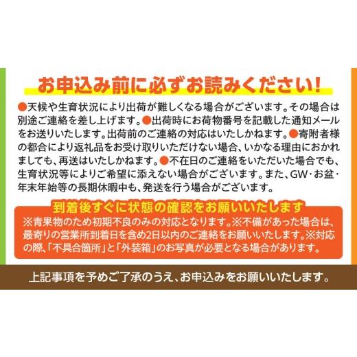 ふるさと納税 マンゴー 宮崎県 宮崎市 《2026年発送》 数量・期間限定 完熟マンゴー Lサイズ 2玉_M354-002-01 15,000円 Lサイズ×2玉_6