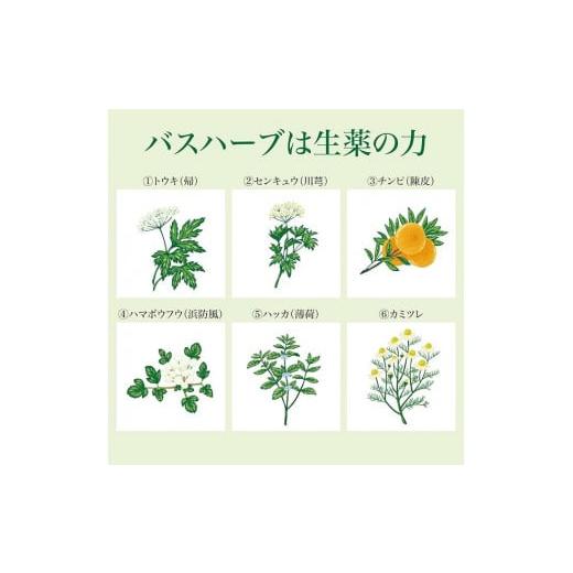 ふるさと納税 美容 入浴剤 静岡県 静岡市  定期便 ツムラのくすり湯 バスハーブ 650ml×３本 ３ヵ月ごと2回の画像