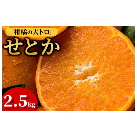 ふるさと納税 果物類 みかん 愛媛県 今治市 先行予約 数量限定 ホリ田ヤ せとか 2.5kg K002420
