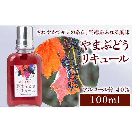 ふるさと納税 お酒 北海道 積丹町 リキュール 山ぶどう お酒 ジン 積丹町