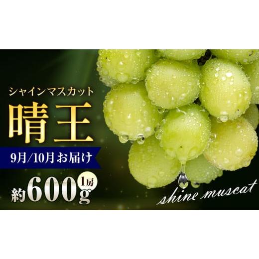 ふるさと納税 ぶどう マスカット 岡山県 浅口市 ぶどう シャインマスカット 晴王 600g 1房 彩美菜果[2026年9月上旬-11月中旬頃出荷] マスカット 送料無料 岡…