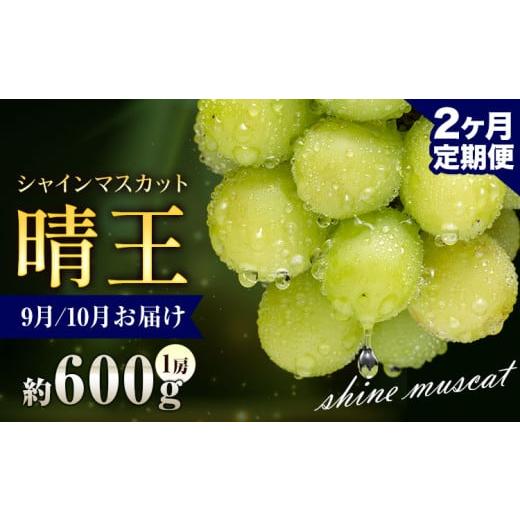 ふるさと納税 ぶどう マスカット 岡山県 浅口市 ぶどう シャインマスカット 晴王 600g 1房 2ヶ月定期便 彩美菜果[2026年9月上旬-10月末頃出荷] マスカット …