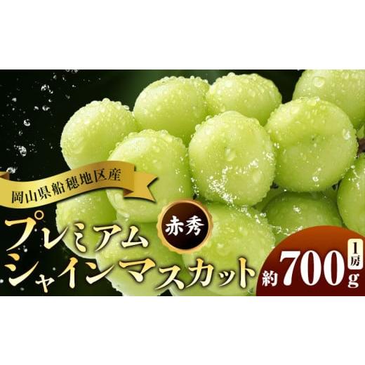 ふるさと納税 ぶどう マスカット 岡山県 浅口市 ぶどう 岡山県船穂地区産 プレミアム シャインマスカット 晴王 赤秀 700g 1房 彩美菜果[2026年9月上旬-11月中…