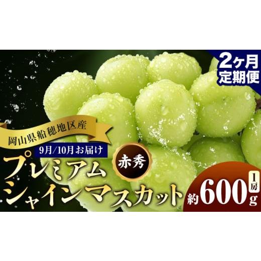 ふるさと納税 ぶどう マスカット 岡山県 浅口市 ぶどう 岡山県船穂地区産 プレミアム シャインマスカット 晴王 赤秀 600g 1房 2ヶ月定期便 彩美菜果[2026年9…