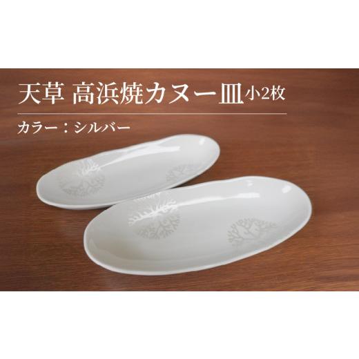ふるさと納税 陶磁器・漆器・ガラス 熊本県 天草市 S026-049_天草 高浜焼カヌー皿 小2枚 計2枚入りセット(シルバー) シルバー