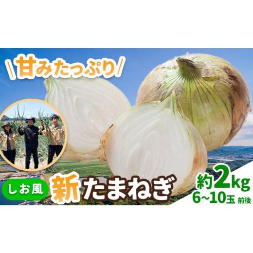 ふるさと納税 野菜類 玉ねぎ 岡山県 笠岡市 新玉ねぎ 2026年先行予約 しお風新たまねぎ 約2kg [5月中旬-6月上旬頃出荷] 玉ねぎ 新たまねぎ 玉葱 たまねぎ 新…