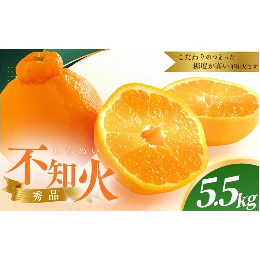 ふるさと納税 みかん・柑橘類 デコポン 和歌山県 紀美野町 先行予約 秀品 露地不知火 5kg L〜3Lのサイズおまかせ 2027年1月下旬から2027年4月上旬頃に順次発…