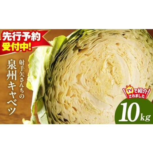 ふるさと納税 野菜類 大阪府 泉佐野市 先行予約 射手矢さんちの泉州キャベツ 10kg 新鮮 野菜 泉佐野産 やさい 射手矢農園 高評価 数量限定 TVで紹介 おすそ分…
