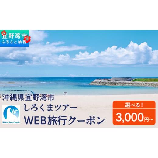 ふるさと納税 パッケージ旅行 沖縄県 宜野湾市 沖縄県 宜野湾市 しろくまツアーで利用可能なWEB旅行クーポン 選べる 3,000円分〜 | ふるさと納税 ふるさと | …