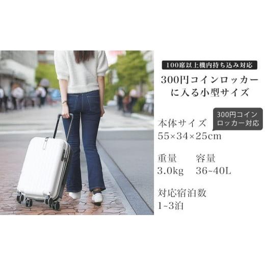 ふるさと納税 カバン 福岡県 大木町 PROEVO ファスナーキャリー スーツケース ストッパー付き 機内持ち込み Sサイズ (エンボス／ガンメタリック) 10002S 福岡…