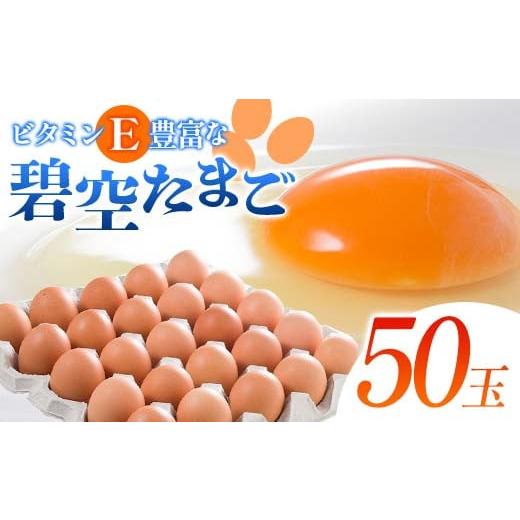 ふるさと納税 卵(鶏、烏骨鶏等) 福島県 白河市 ビタミンE豊富な「碧空たまご」50玉 Lサイズ タマゴ 卵 玉子 たまご F25R-024